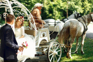 Hochzeitskutsche, Hochzeitsauto, Oldtimer oder Limousine für eure Hochzeit in Frankfurt, Wiesbaden und dem Rhein-Main-Gebiet